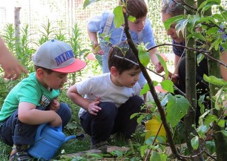 Kindergardening